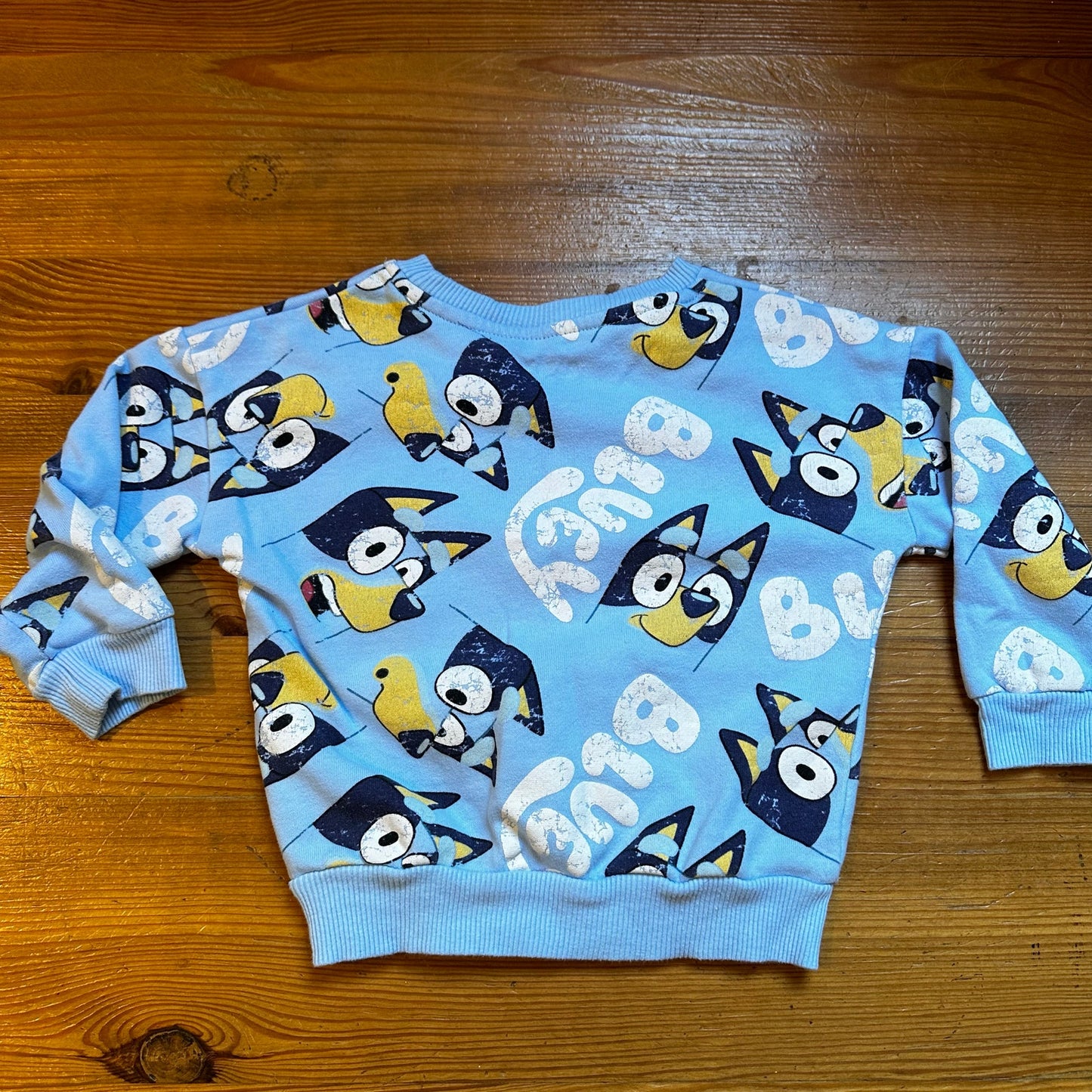 Bluey blue Bluey graphic crew long sleeve sweatshirt SIZE 3T