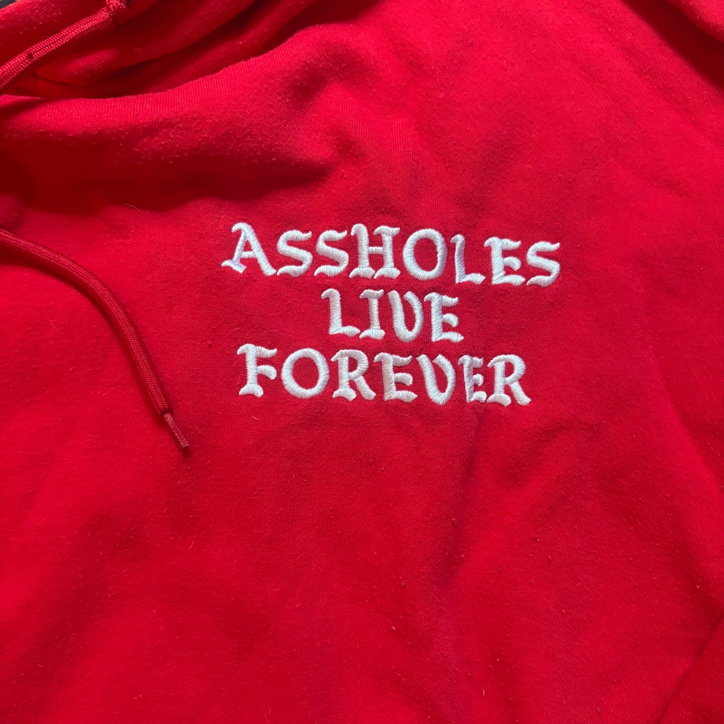 A**holes Live Forever red embroidered hoodie unisex sweatshirt SIZE XL