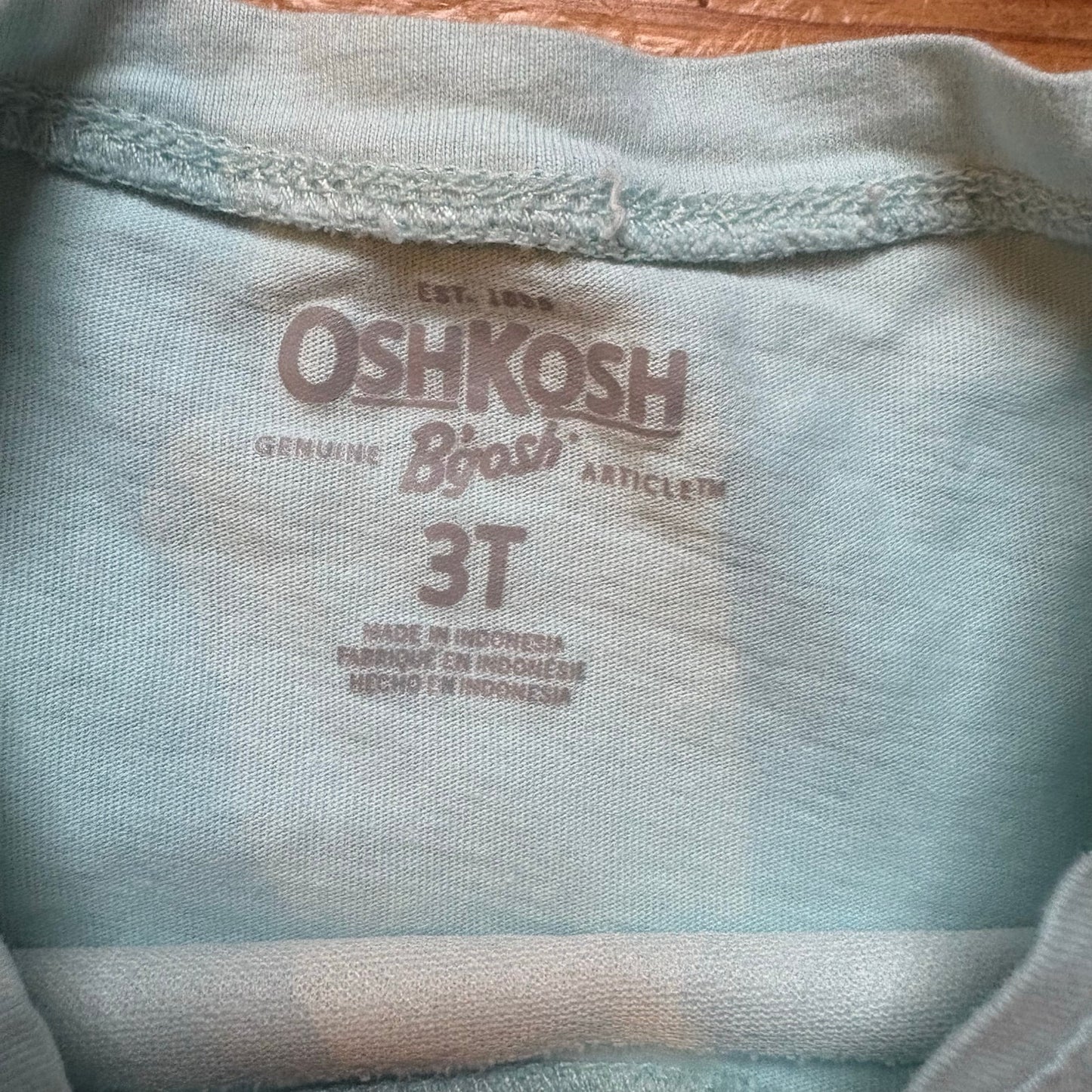 OshKosh B'gosh light blue snowflake tiered long sleeve tutu dress SIZE 3T