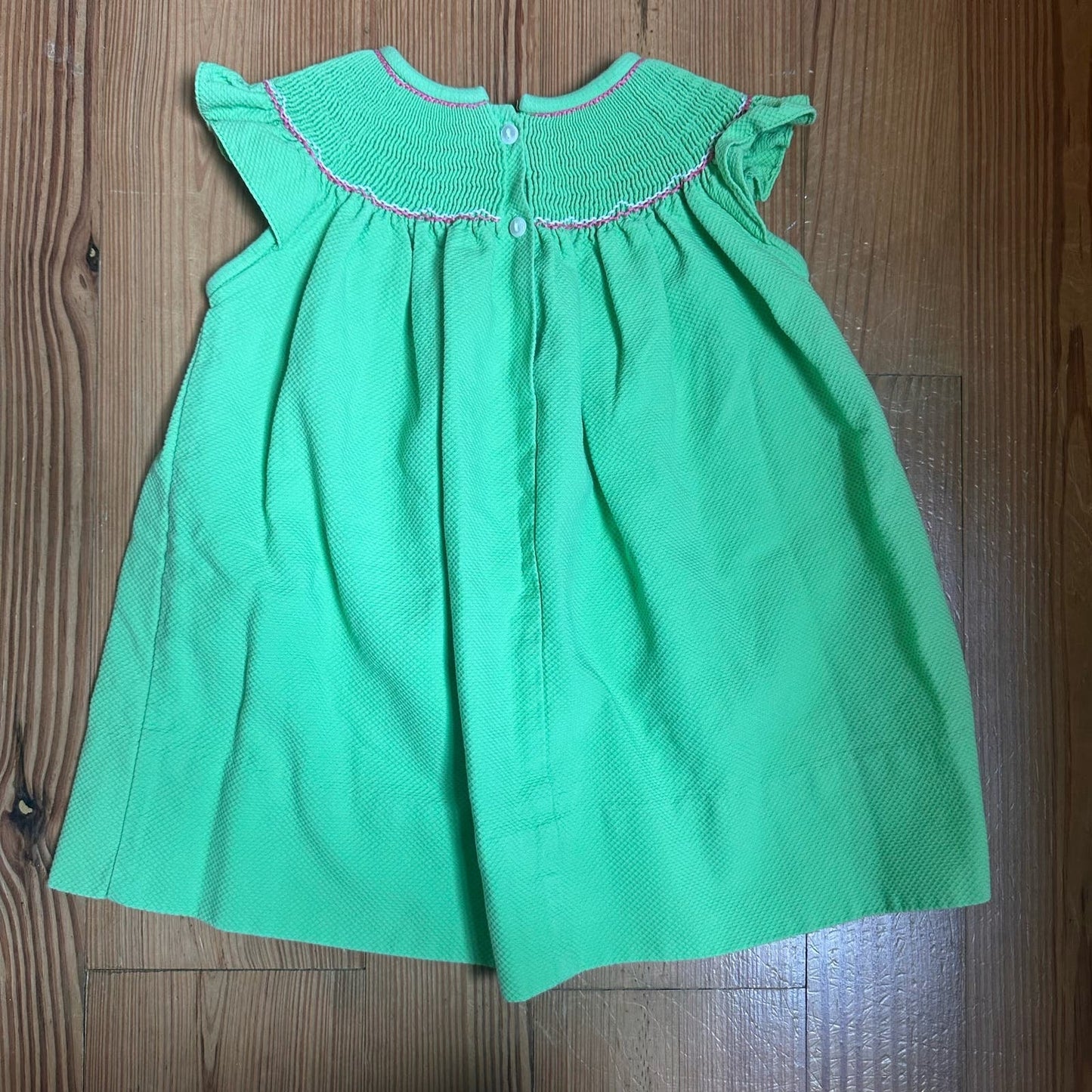 Petite Palace green lady bug smocked dress SIZE 9M