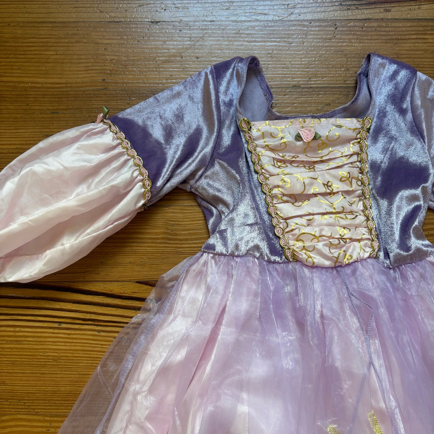 Disney Rupunzel purple pink velvet tulle floral princess dress SIZE 3-5