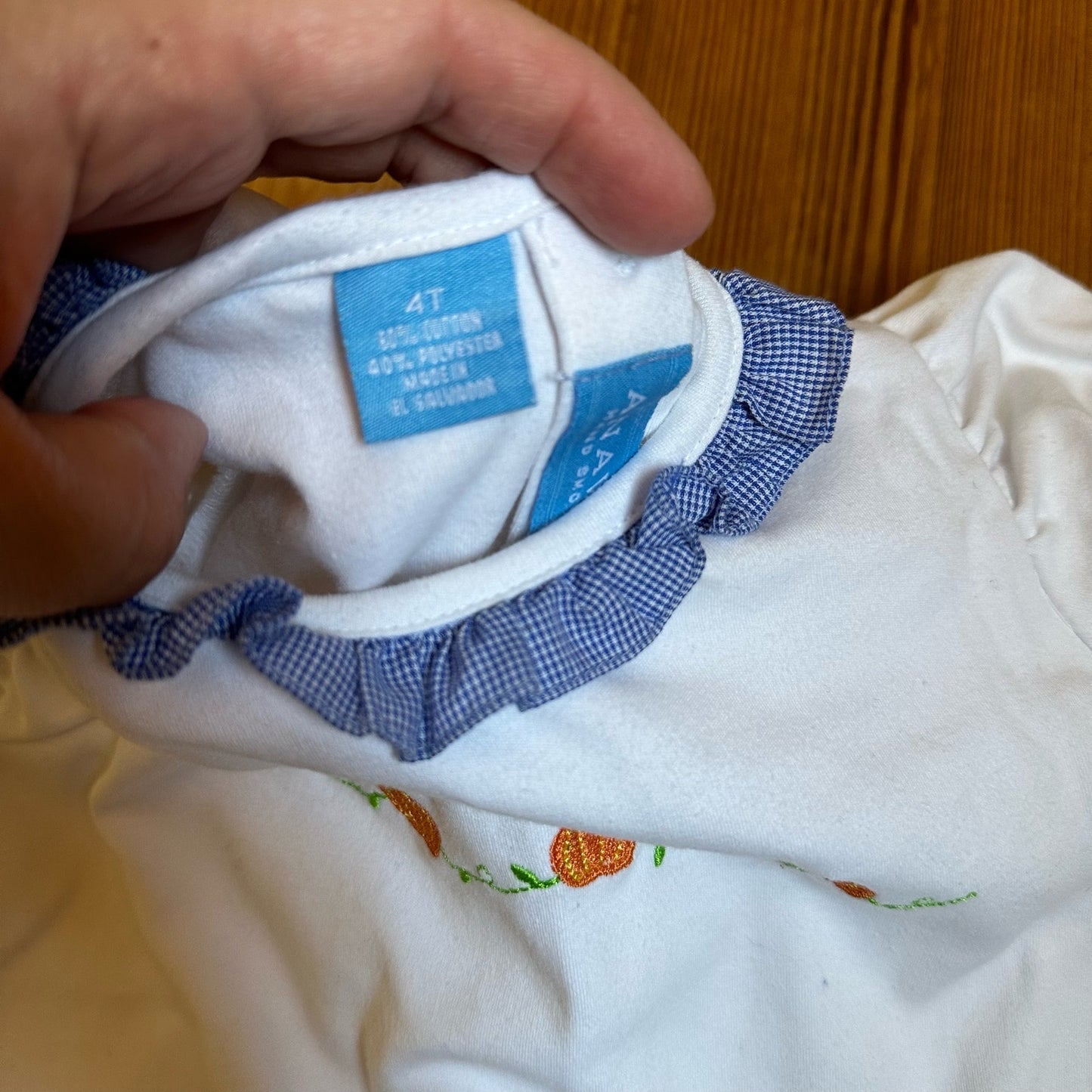 Anavini white blue plaid pumpkin short sleeve tee shirt SIZE 4T