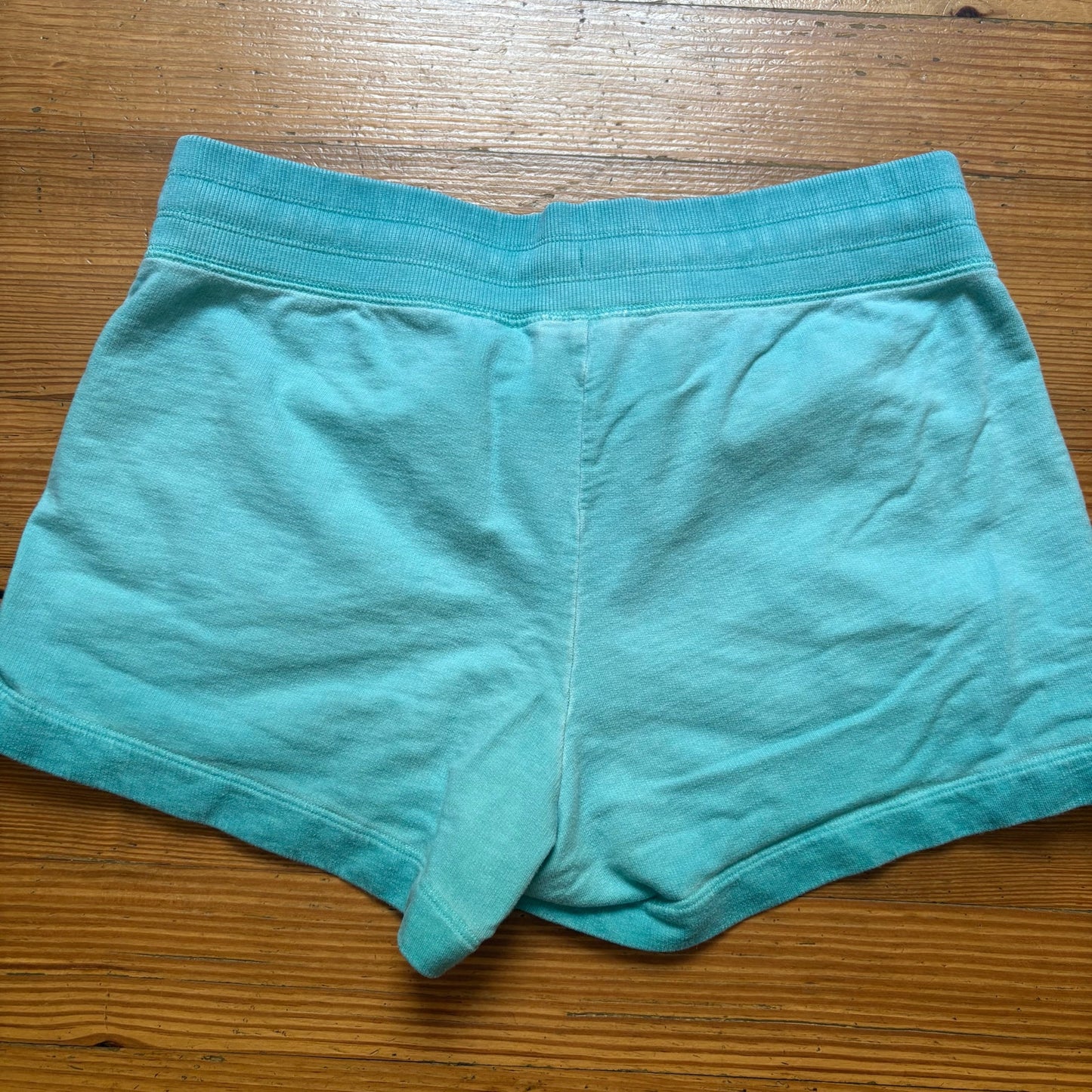 Nike teal blue drawstring elastic wasitband womens sweat shorts SIZE M