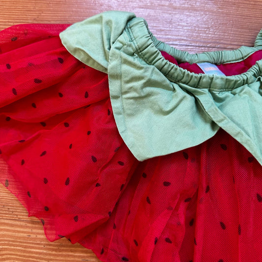 Gymboree red strawberry tulle elastic waistband skirt SIZE 2T