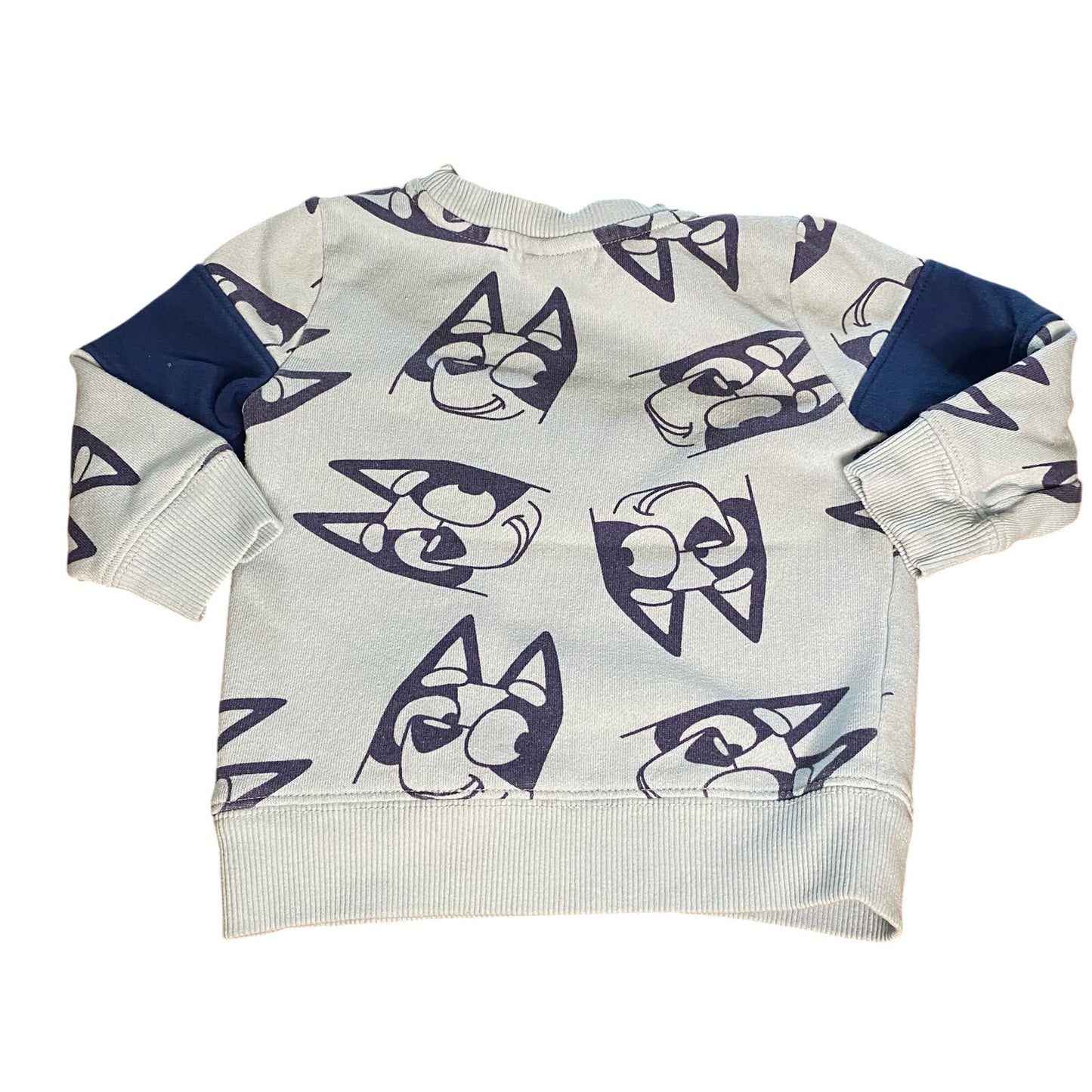 Bluey light blue graphic textured lettering crew sweatshirt SIZE 2T