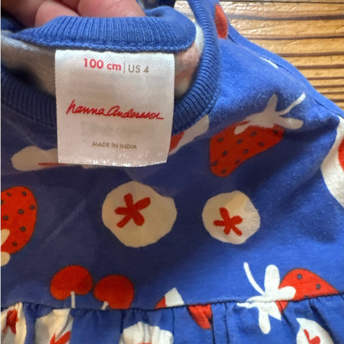 Hanna Andersson blue red strawberry blueberry fruit tank toddler dress SIZE 4