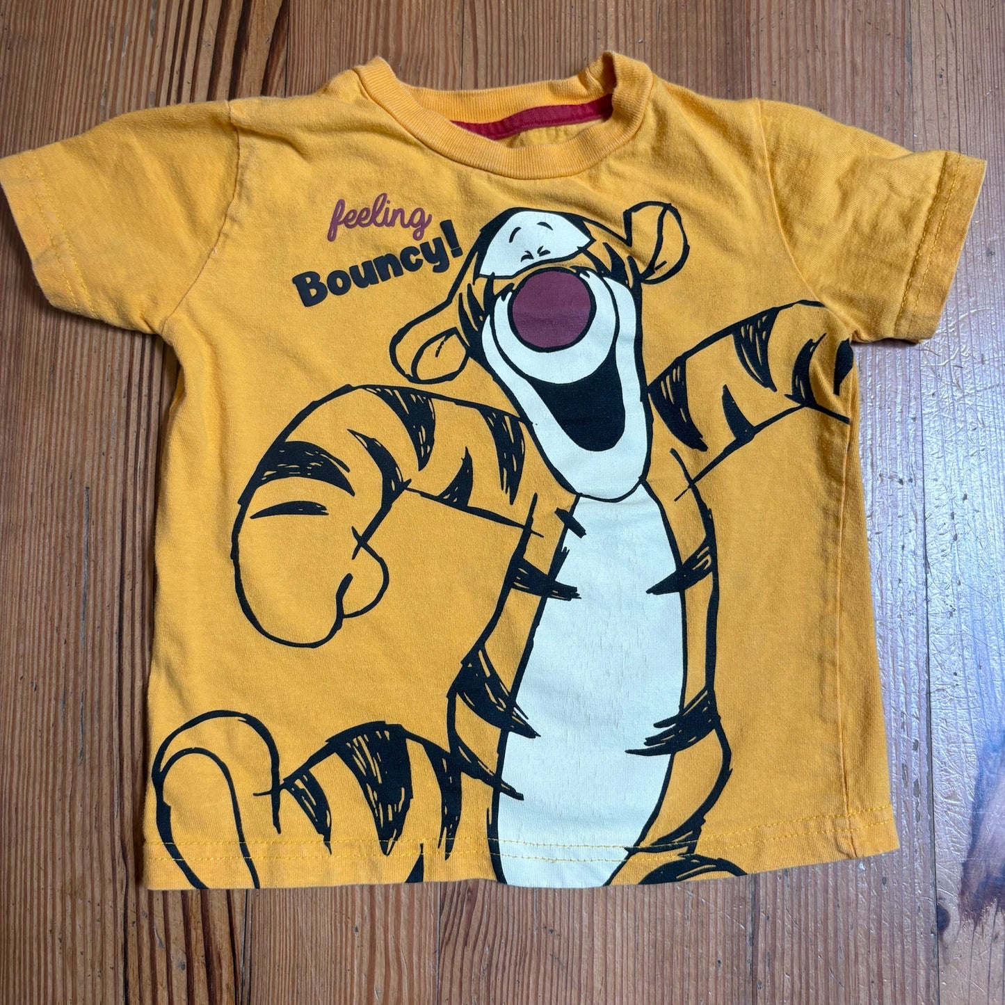 Disney Winnie the Pooh Tigger Eeyore twin baby short sleeve shirts SIZE 2T