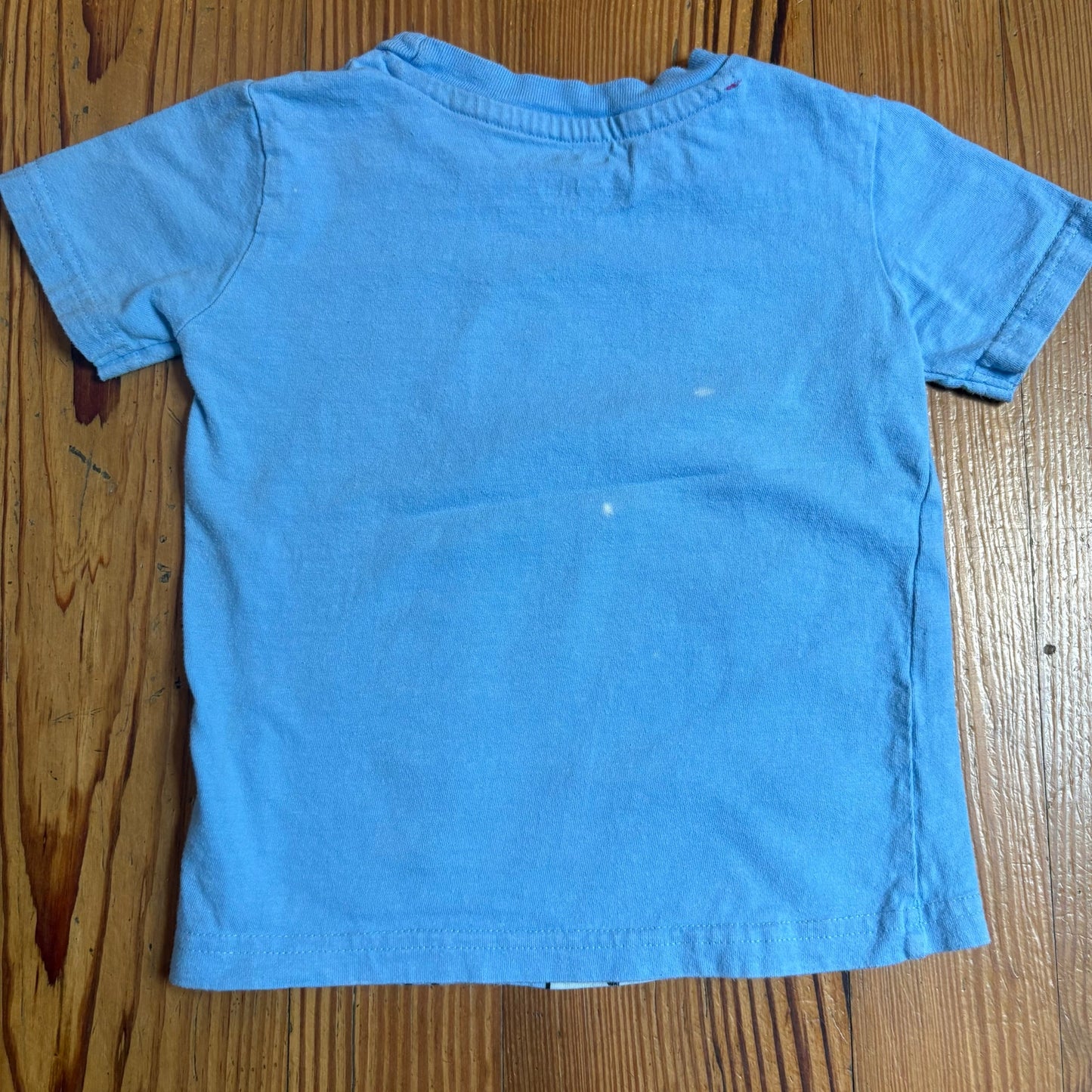 Disney Winnie the Pooh Tigger Eeyore twin baby short sleeve shirts SIZE 2T