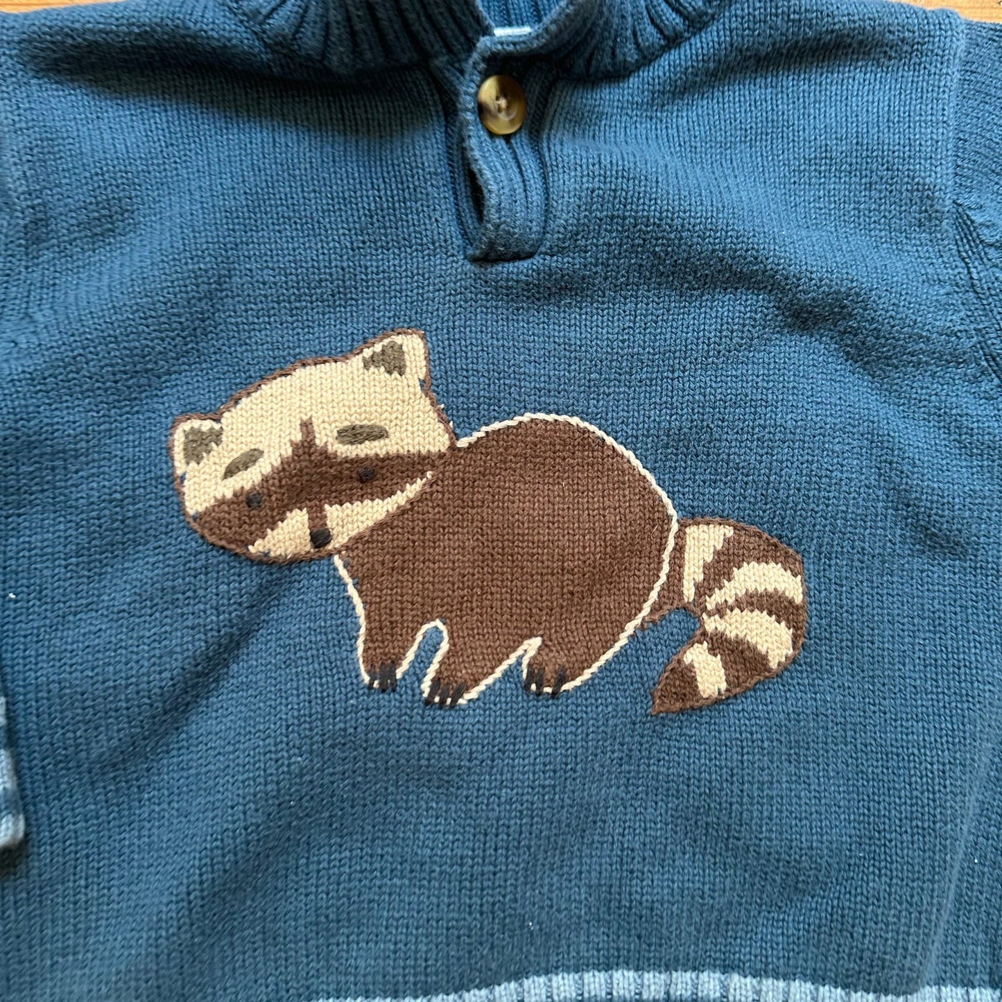 Gymboree blue striped raccoon button henley sweater SIZE 18M